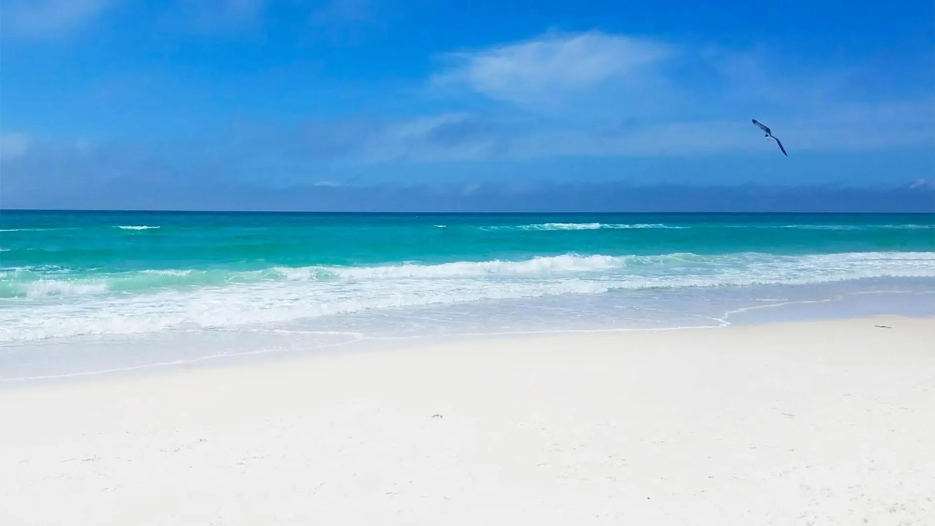 Holiday home Largo Mar 106 By Emerald Coast Retreats Panama City Beach